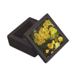 Hanging Yellow Orchids Tropical Flowers Jewelry Box