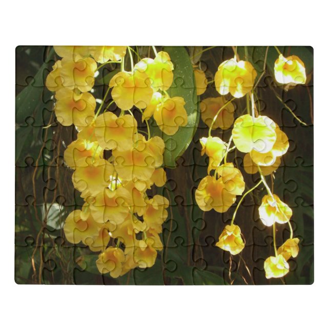 Hanging Yellow Orchids Tropical Flowers Jigsaw Puzzle (Puzzle Horizontal)