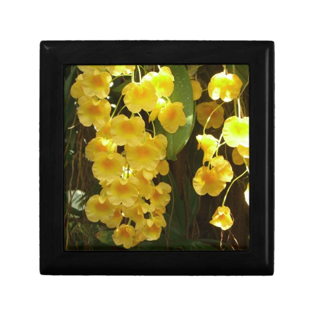 Hanging Yellow Orchids Tropical Flowers Keepsake Box (Front)