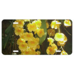 Hanging Yellow Orchids Tropical Flowers License Plate