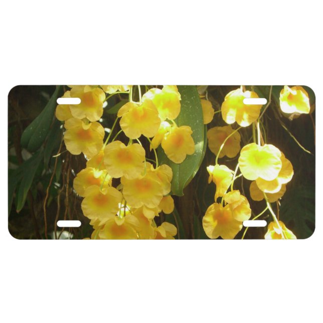 Hanging Yellow Orchids Tropical Flowers License Plate (Front)