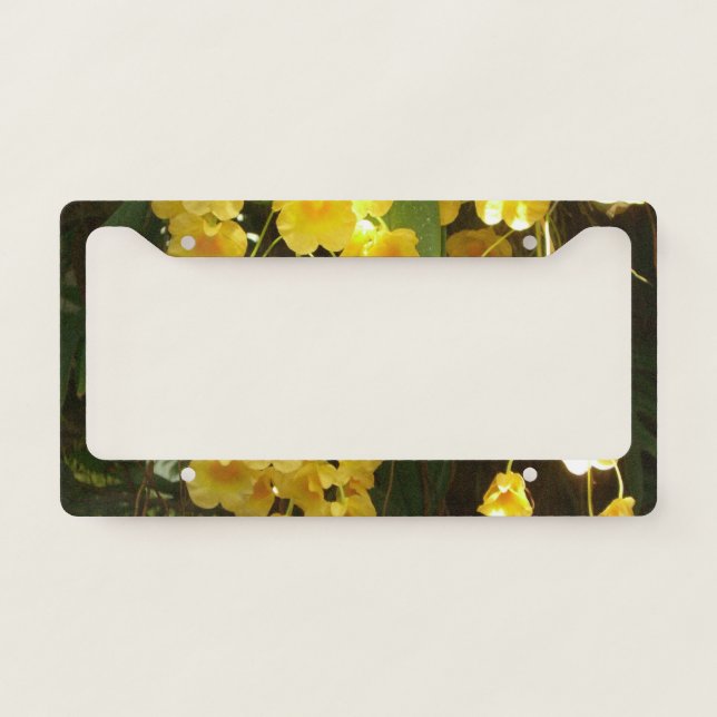 Hanging Yellow Orchids Tropical Flowers License Plate Frame (Front)