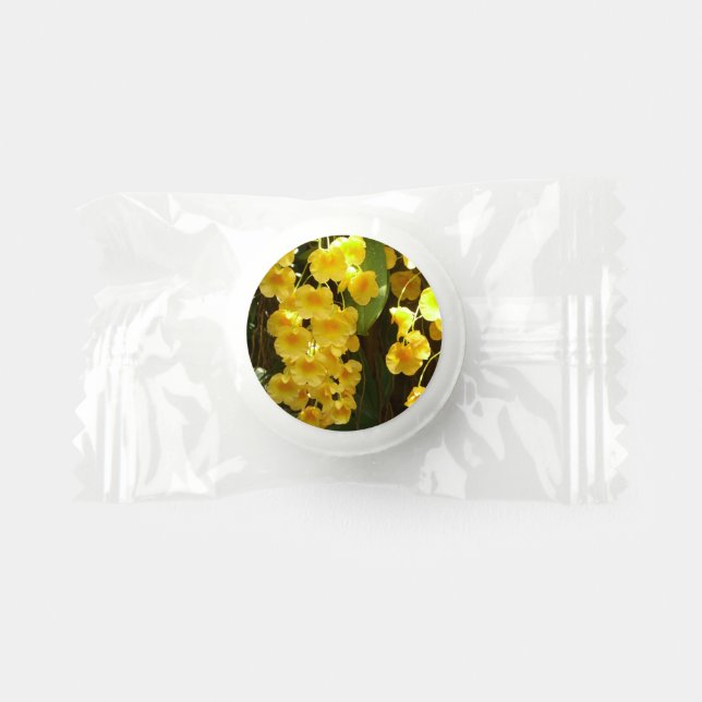 Hanging Yellow Orchids Tropical Flowers Life Saver® Mints (Front)