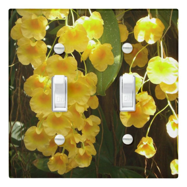 Hanging Yellow Orchids Tropical Flowers Light Switch Cover (In Situ)