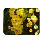 Hanging Yellow Orchids Tropical Flowers Magnet