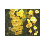 Hanging Yellow Orchids Tropical Flowers Metal Print