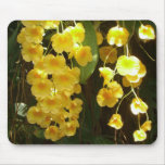 Hanging Yellow Orchids Tropical Flowers Mouse Pad