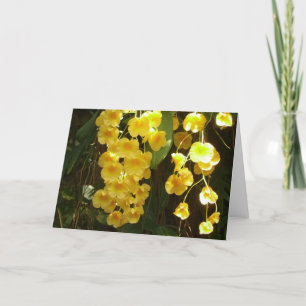 Hanging Yellow Orchids Tropical Flowers Note Card