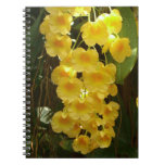 Hanging Yellow Orchids Tropical Flowers Notebook