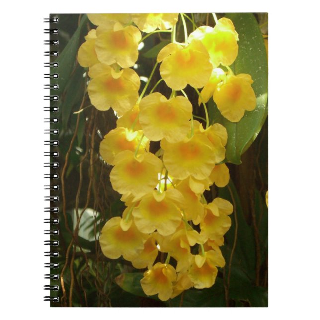 Hanging Yellow Orchids Tropical Flowers Notebook (Front)