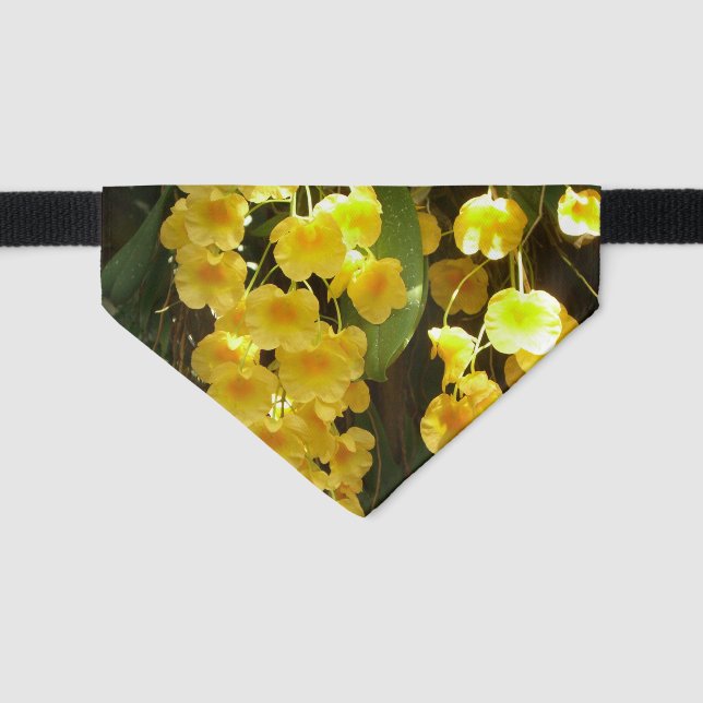 Hanging Yellow Orchids Tropical Flowers Pet Bandana Collar (Front)