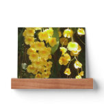Hanging Yellow Orchids Tropical Flowers Picture Ledge