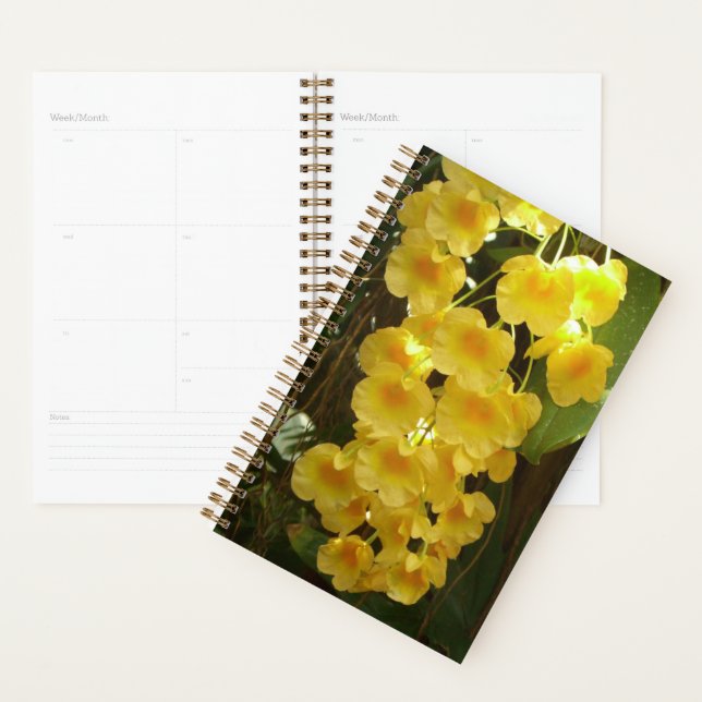 Hanging Yellow Orchids Tropical Flowers Planner (Display)