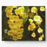 Hanging Yellow Orchids Tropical Flowers Plaque