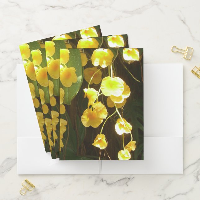 Hanging Yellow Orchids Tropical Flowers Pocket Folder (In Situ)