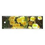Hanging Yellow Orchids Tropical Flowers Ruler