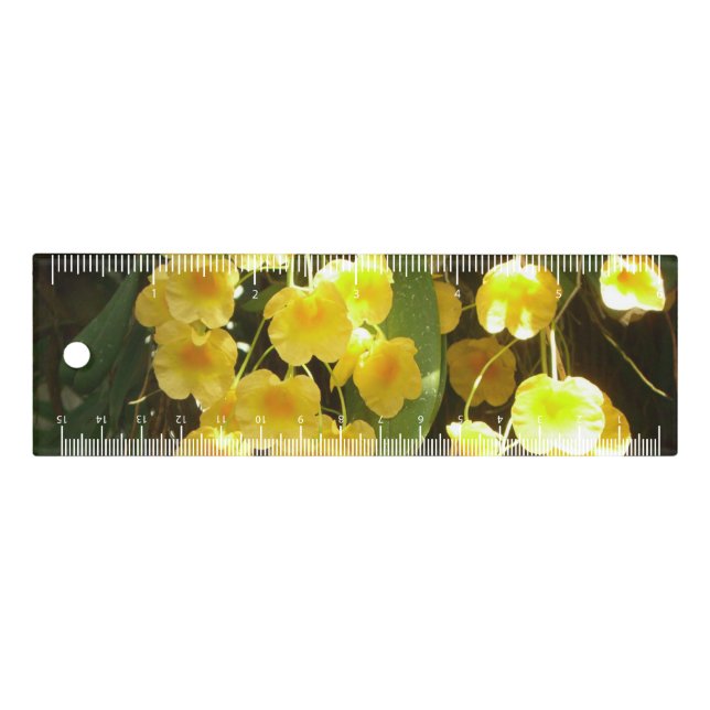 Hanging Yellow Orchids Tropical Flowers Ruler (Front)