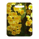 Hanging Yellow Orchids Tropical Flowers Seat Cushion