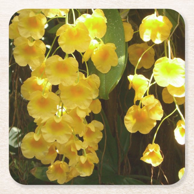 Hanging Yellow Orchids Tropical Flowers Square Paper Coaster (Front)