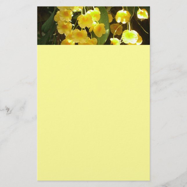Hanging Yellow Orchids Tropical Flowers Stationery (Front)