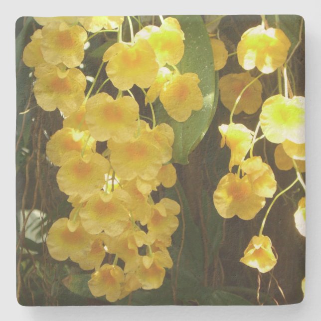Hanging Yellow Orchids Tropical Flowers Stone Coaster (Front)