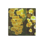 Hanging Yellow Orchids Tropical Flowers Stone Magnet