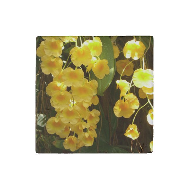 Hanging Yellow Orchids Tropical Flowers Stone Magnet (Front)