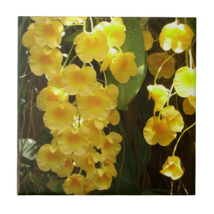 Hanging Yellow Orchids Tropical Flowers Tile