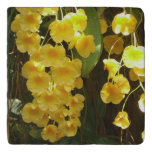 Hanging Yellow Orchids Tropical Flowers Trivet