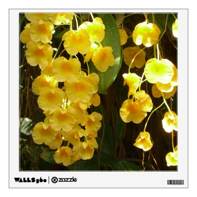 Hanging Yellow Orchids Tropical Flowers Wall Decal (Front)