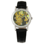 Hanging Yellow Orchids Tropical Flowers Watch