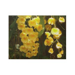 Hanging Yellow Orchids Tropical Flowers Wood Poster