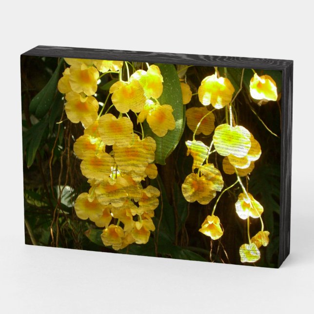 Hanging Yellow Orchids Tropical Flowers Wooden Box Sign (Angled Horizontal)