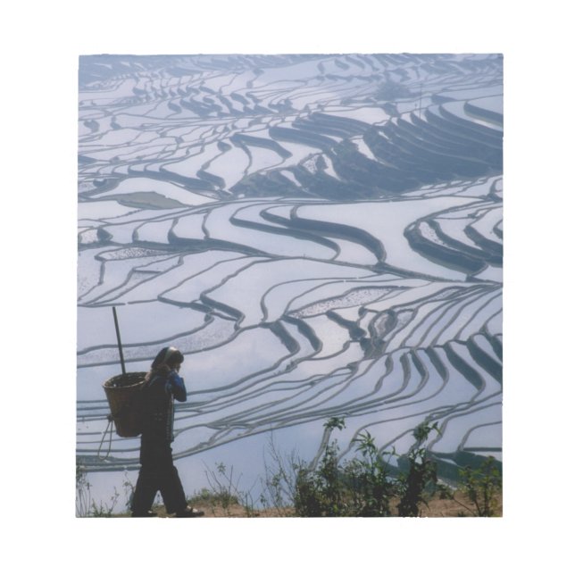Hani girl carrying basket with rice terrace, notepad (Front)