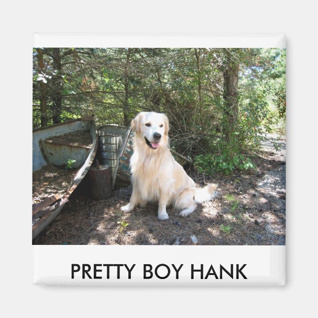 Hank 8 10 2008 014.1, PRETTY BOY HANK Magnet (Front)