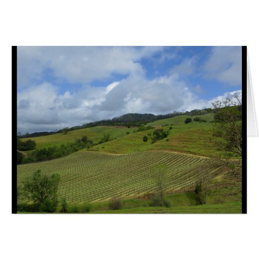 Hannah Winery View April 2018 Cards (Front Horizontal)