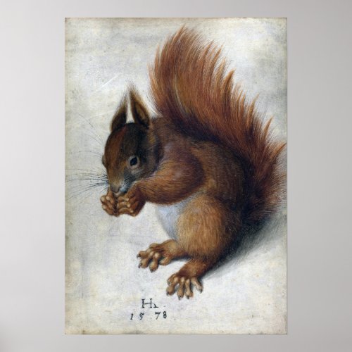 Hans Hoffmann Red Squirrel Poster