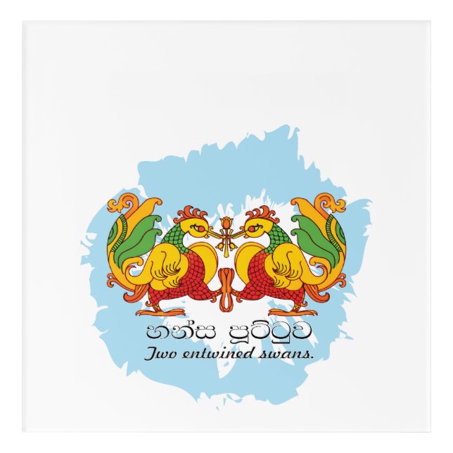 Hansa Puttuwa – Two Entwined Swans Acrylic Print (Front)