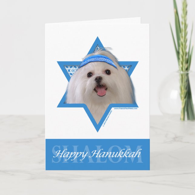 Hanukkah Star of David - Maltese Holiday Card (Front)