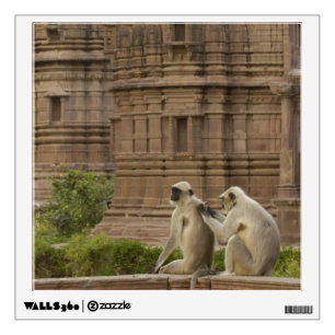 Hanuman Langurs or Black-faced, Common or Grey Wall Sticker