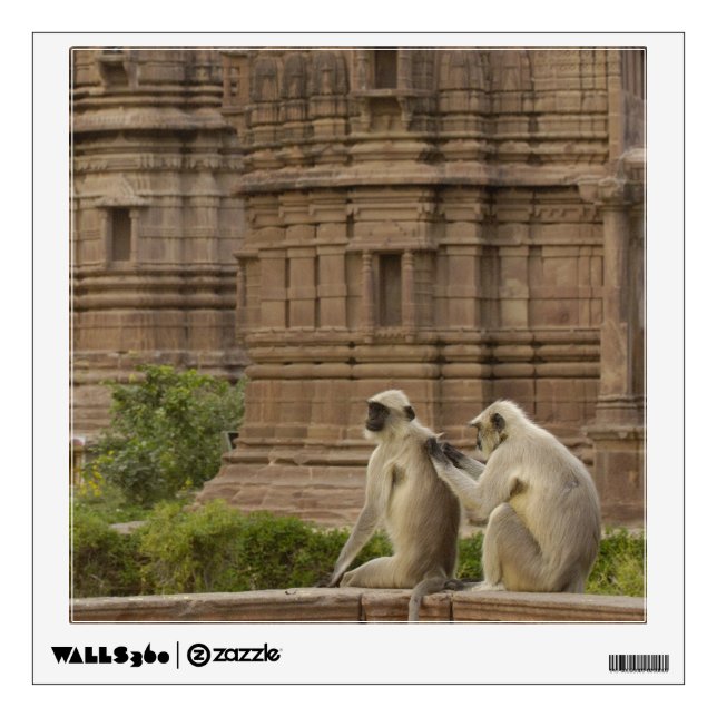 Hanuman Langurs or Black-faced, Common or Grey Wall Sticker (Front)