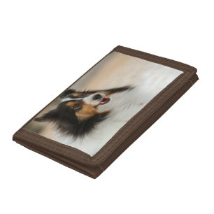 Haooy Shelty Tri-fold Wallet