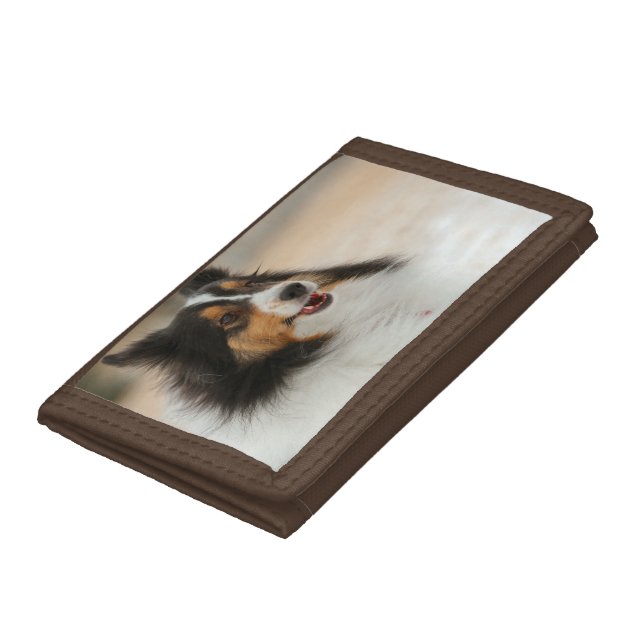 Haooy Shelty Trifold Wallet (Bottom)