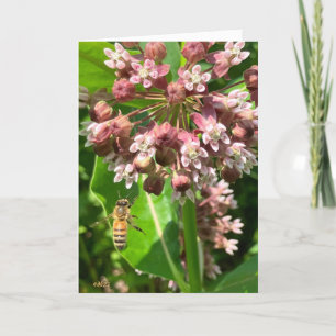 HapBEE birthday bumblebee birthday card