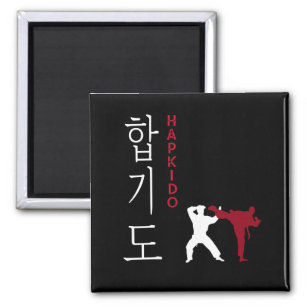 Hapkido Korean Martial Arts Magnet