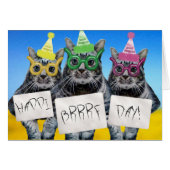 Happi Brrrf Day Kitty Trio (Front Horizontal)