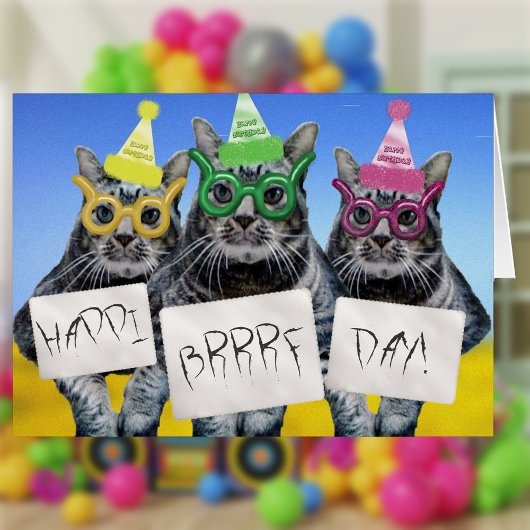 Happi Brrrf Day Kitty Trio Cards
