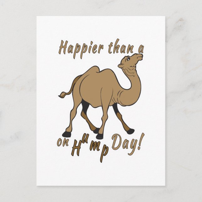 Happier than a Camel on Hump Day Postcard (Front)