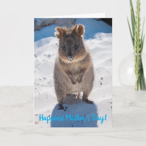 Happiest Happy Mothers Day Cute Quokka Beach Card