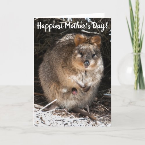 Happiest Happy Mothers Day Quokka Australia Card
